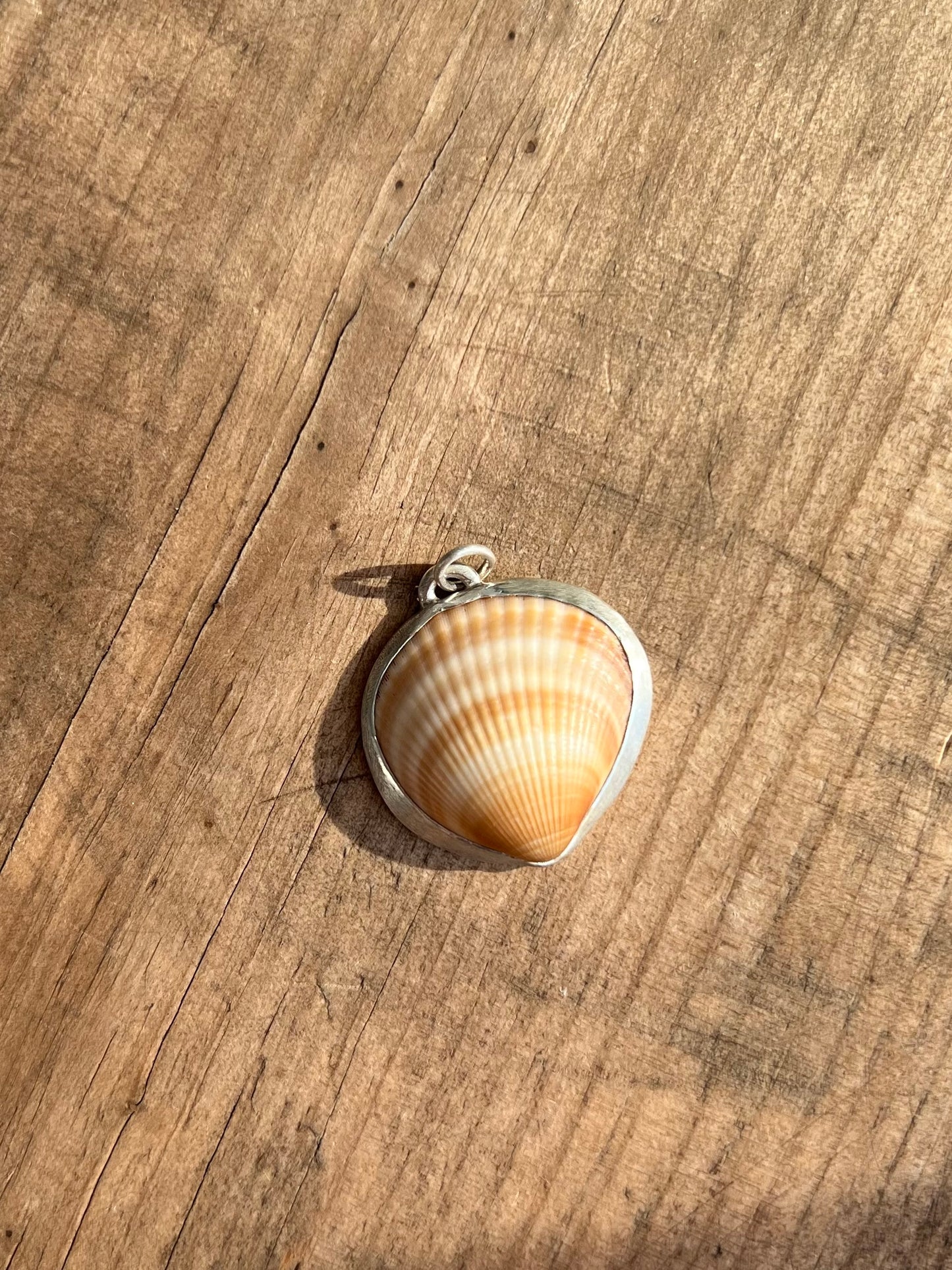 Shades of sand shell pendant