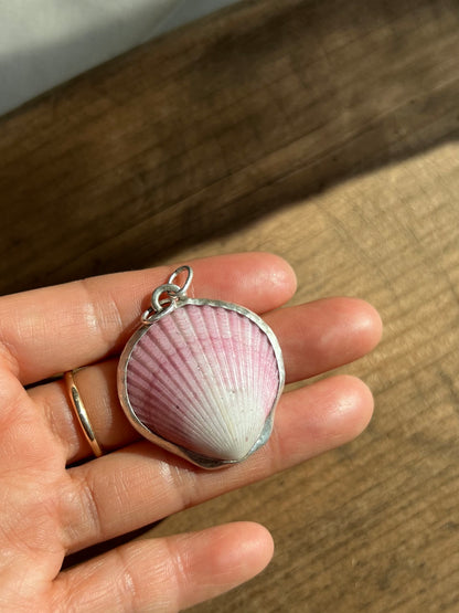 Pink to white gradient scallop shell pendant