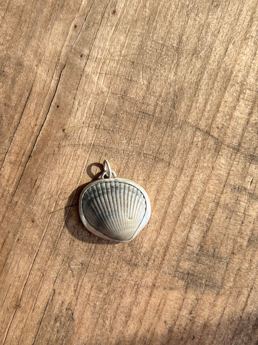 Earth tones shell pendant