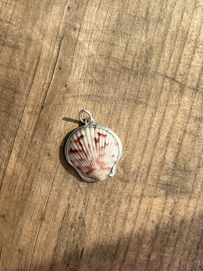 Pink splash shell pendant